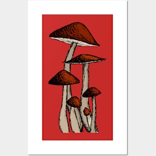 Mushroom Family Posters and Art